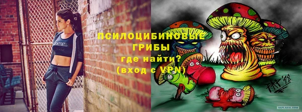 сатива Бугульма